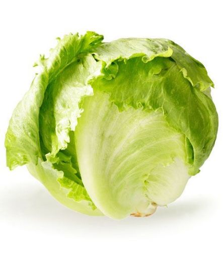 Picture of Iceberg Lettuce