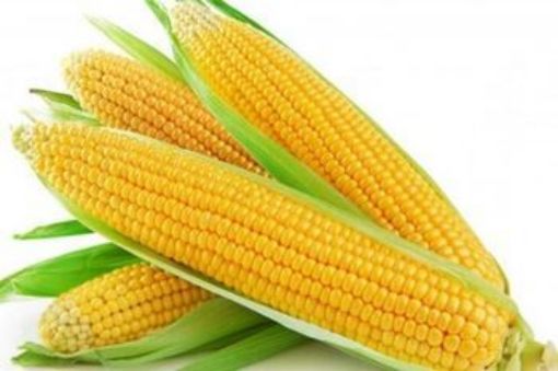 Picture of Sweet Corn (4 p/pack)