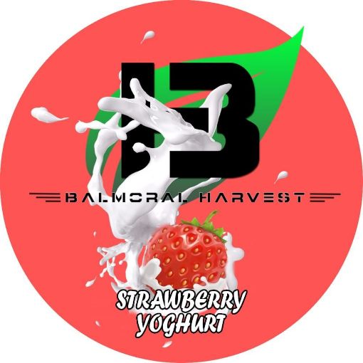 Picture of Double Cream Strawberry Yoghurt (500g)