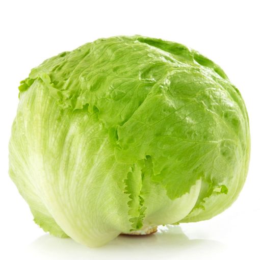 Picture of Iceberg lettuce 