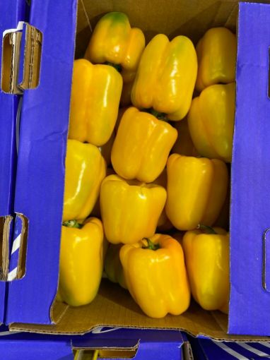 Picture of Yellow Pepper Box